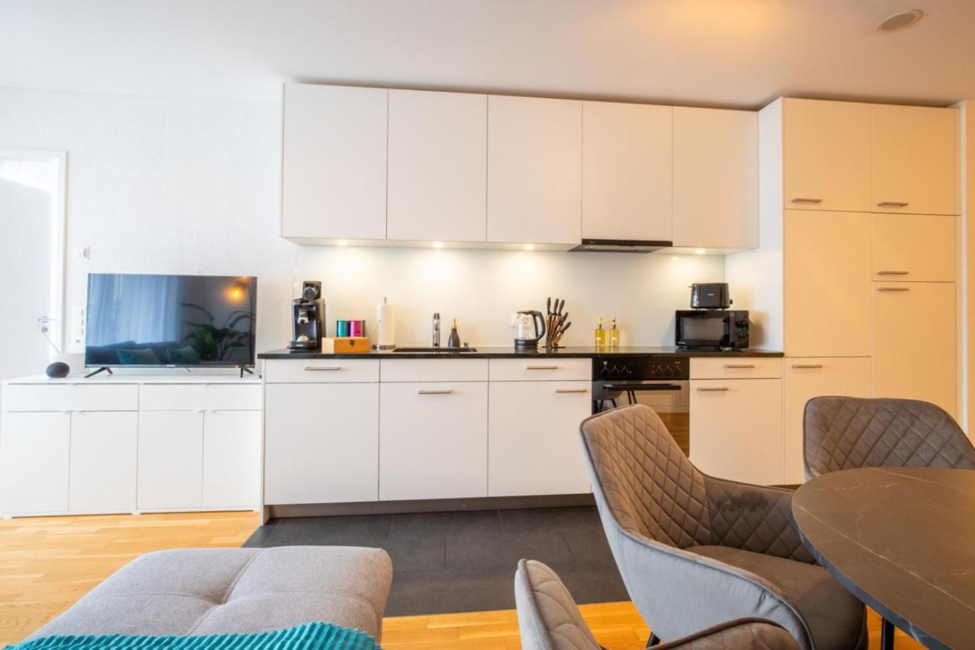 Special Einstein I Apartment Basel, Messe Kleinbasel 10-Star מראה חיצוני תמונה