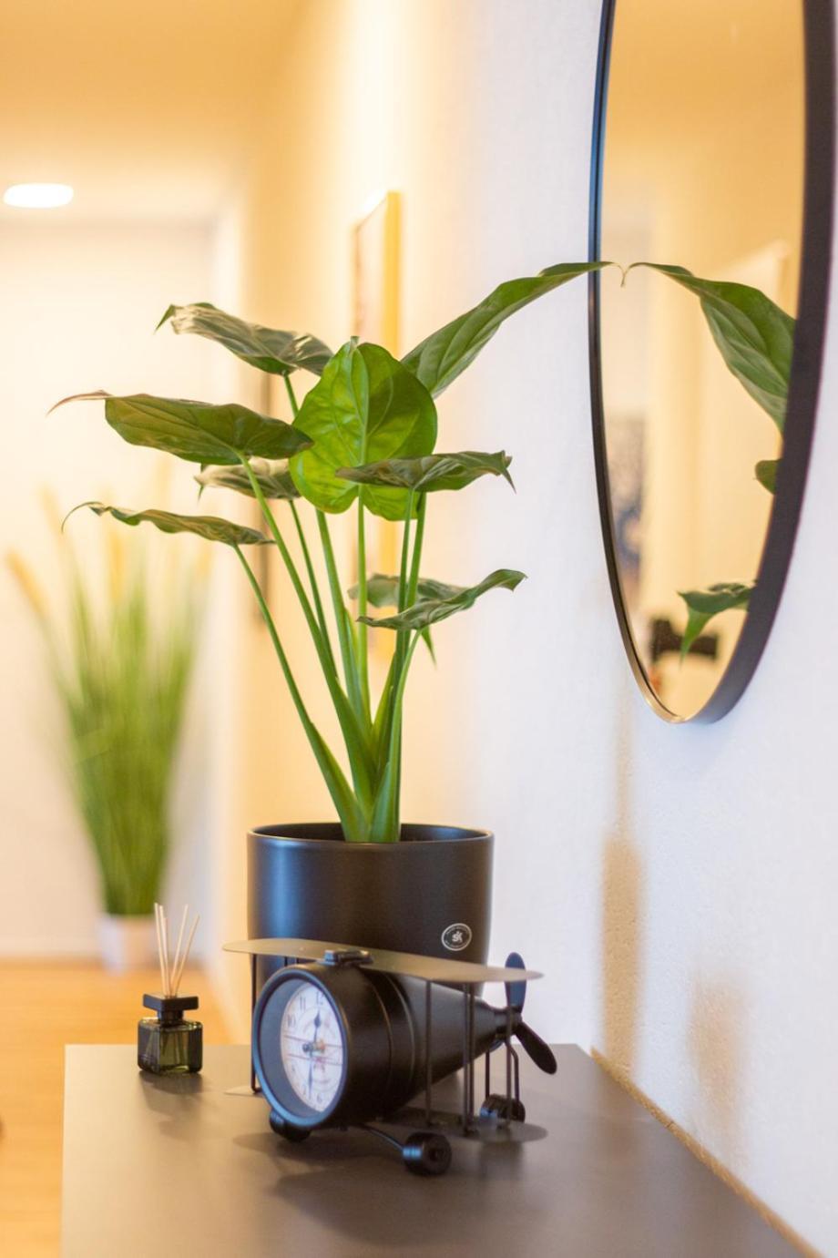 Special Einstein I Apartment Basel, Messe Kleinbasel 10-Star מראה חיצוני תמונה
